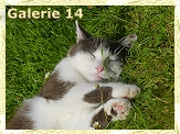 viiiieeel heiss - Delli viiiieeel mde :-))