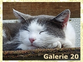 Delli relaxed :-))