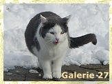 Naunau liebt Schnee