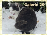 Snow-Nauni II