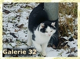 Schnee-Ausflug1