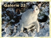 Snow-Weeny