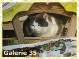 Delli und der Schnee...