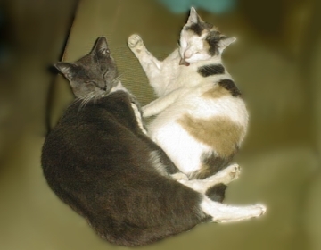 Kuschelstunde