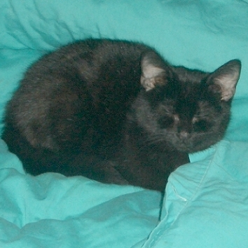 Im Bett ist�s nett
