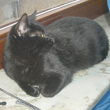 mein Fensterplatz