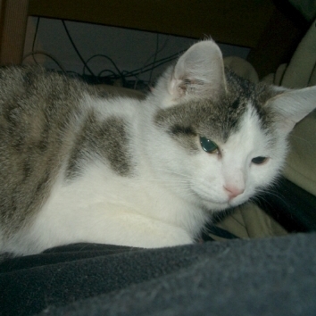 unsere Freundin Sissi