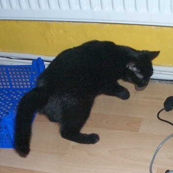 Was ist denn das f�r�n Kabel?