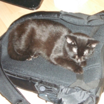 Sehr bequemer Rucksack!!!