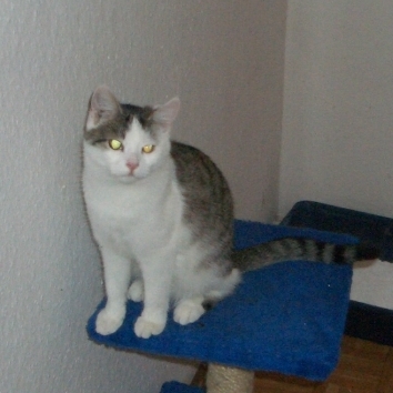 Bin ganz allein hochgeklettert!!!
